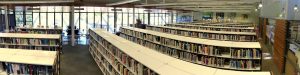 Avalon Beach community library