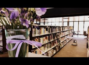 Avalon-Beach-Library