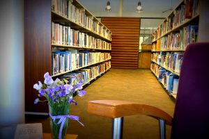 Avalon-Beach-Library reading space