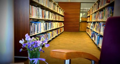 Avalon-Beach-Library reading space