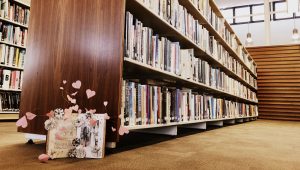 Avalon Beach Community Library since 1983