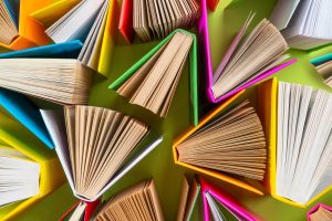 Megs-chapter-avalon-library